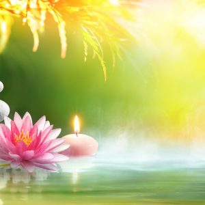 Spa - Relaxation With Massage Stones And Waterlily In Water Spa still life - Stack Of Stones With Candle and Lotus In Pond